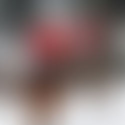 Polo Snow by Settedonna 