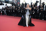 The 79th Cannes Film Festival 