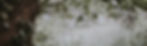 annie-spratt-GIK1tsETnXI-unsplash_edited.jpg