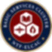 BASIC NEEDS LOGO 5.png