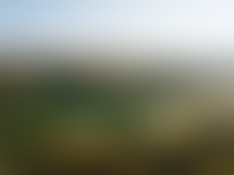 2025 RBC Canadian Open: Key Details, Top Contenders, and Dark Horse Picks