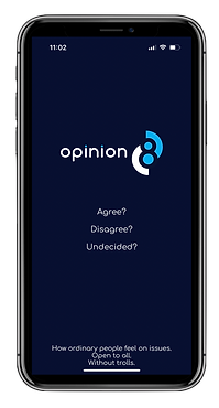 Opinion8 Load Scr.png