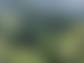 Reflexiones alrededor el asesinato de Toño y Muaren.