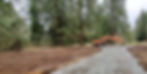 IMG-20200727-WA0046_edited.jpg