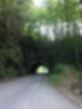 IMG-0909.JPG