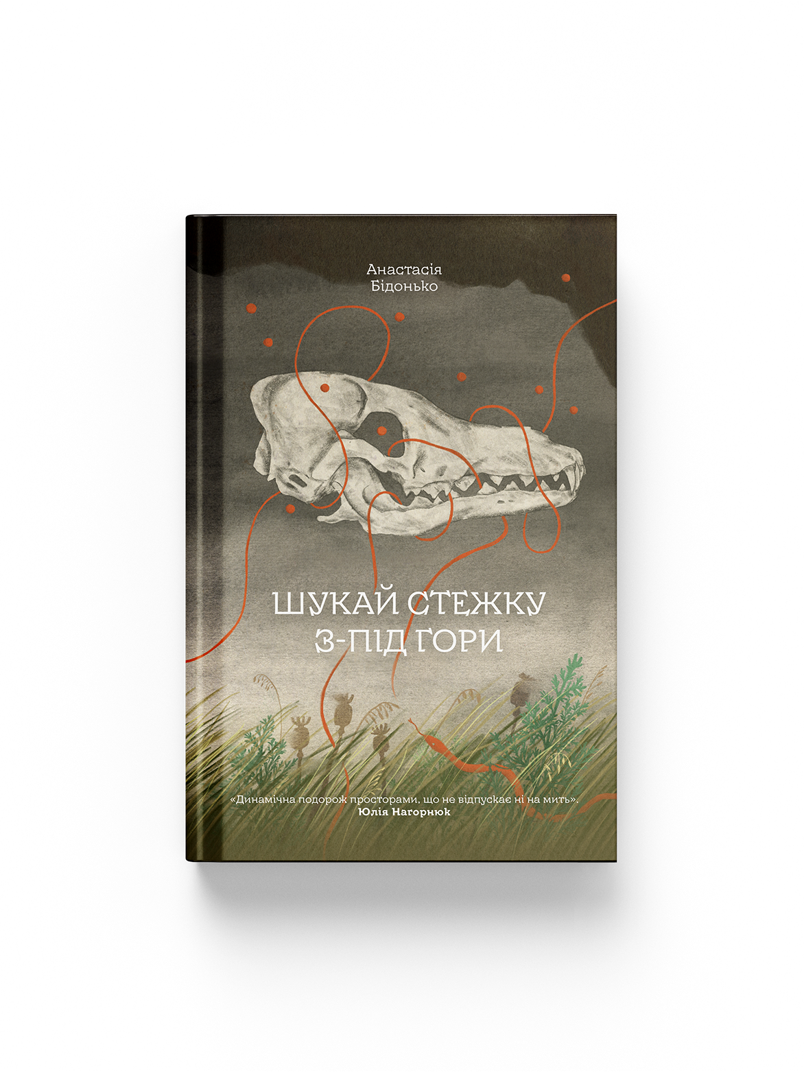 Шукай стежку з-під гори