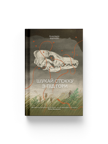 Шукай стежку з-під гори. Анастасія Бідонько | Ще одну сторінку