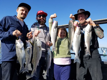 Yacht Harbor In Oakley, California