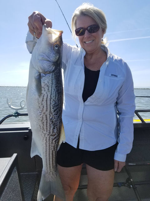 Big Fish Gallery Of Soo Hoo Sportfishing