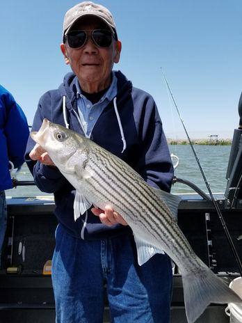 Fishing Charter Services From Lauritzen Yacht Harbor In Oakley