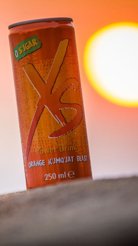Can of XS sits on a rock with the setting sun in the background