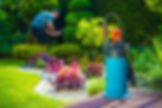 AdobeStock_85133429.jpeg