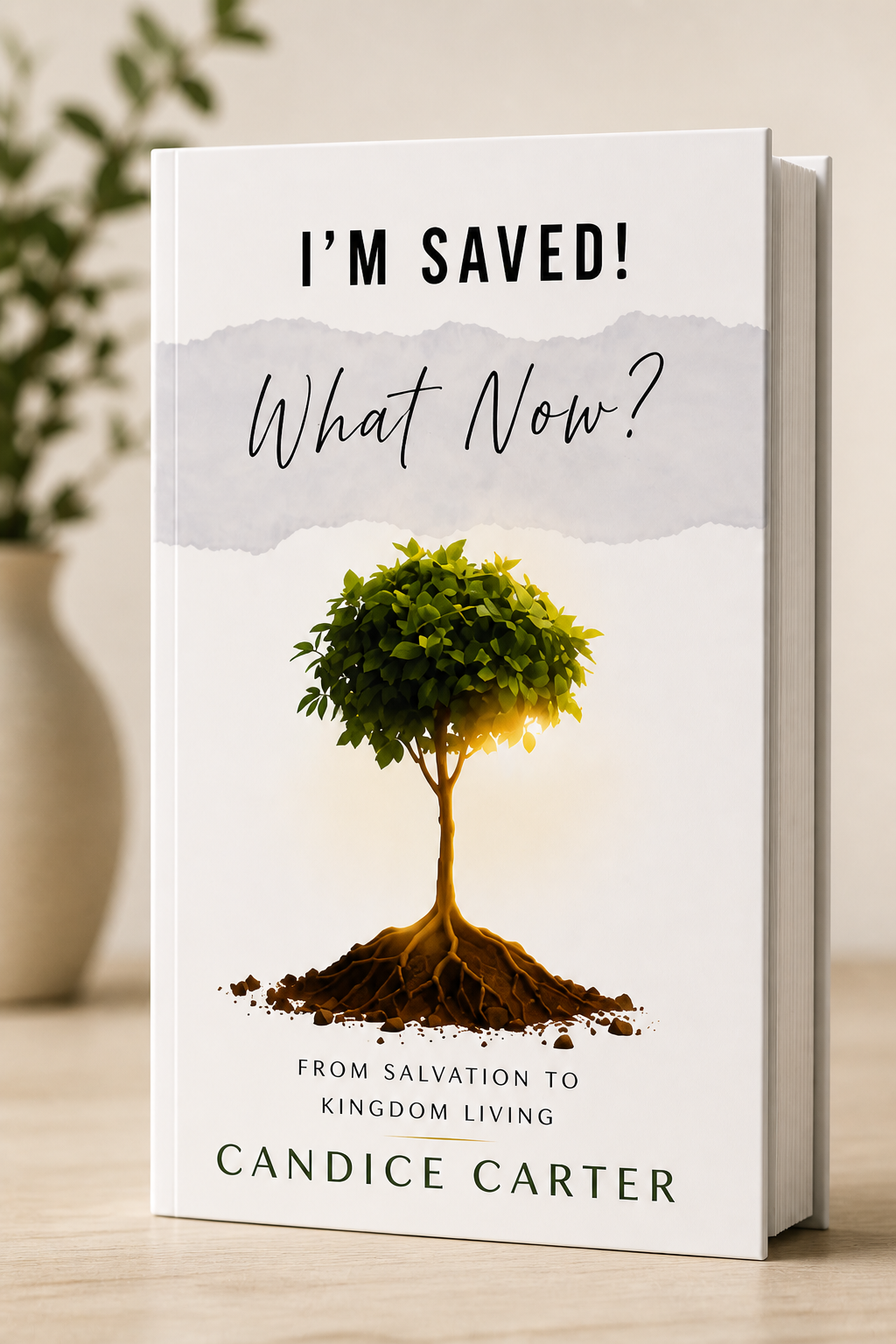 Book: I'm Saved! What Now? (UNAVAILABLE UNTIL JULY 5th, 2026)