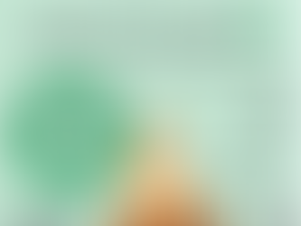 Volunteer Programs: Ignite the Spark