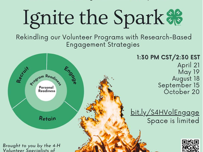 Volunteer Programs: Ignite the Spark