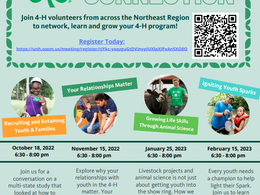 New Training Opportunities for 4-H Volunteers