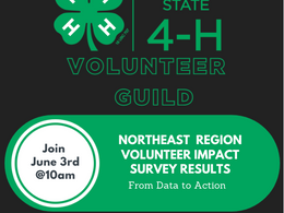 NYS 4-H Volunteer Guild: Northeast Region Volunteer Impact Survey Results 