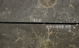게으른 완벽주의자를 위한 금