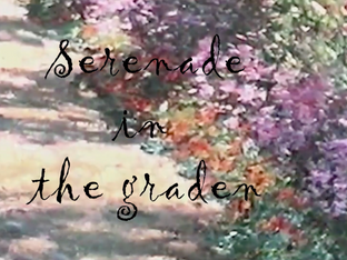 Serenade in the garden