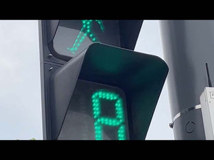 페이크 이즈 리얼