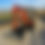 Miniature : KUBOTA KX 61-3 GL