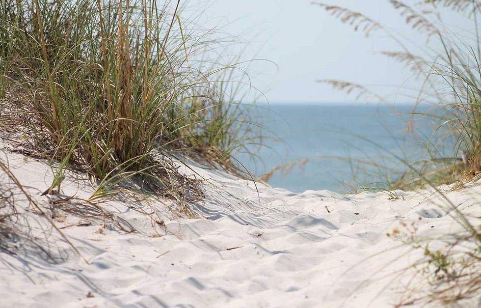 _beach2.jpg