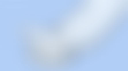 We’re hiring: Head of Engagement – £45K, remote, 2-year fixed term