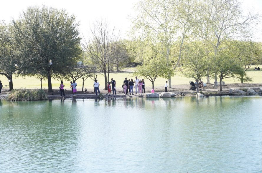 Leading with Care: Family Walk & Picnic