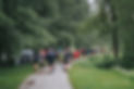 IMG08054.jpg