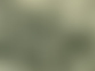 Armenia Soviética en los inicios de la Gran Guerra Patria