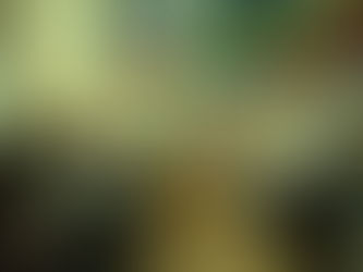 La Unión Cultural Armenia festejó los 101 años de Armenia Soviética con la reapertura de su sede