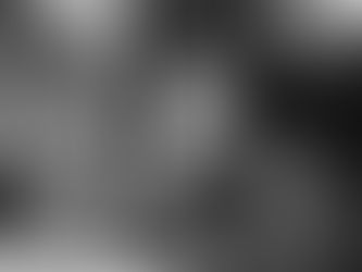 Dementia, families and carers' wellbeing during the Holiday period