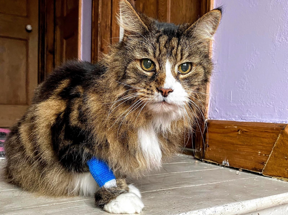 Image taken by the author 