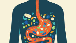 Stylized human torso with orange digestive tract filled with colorful germs and bacteria on a dark teal background.
