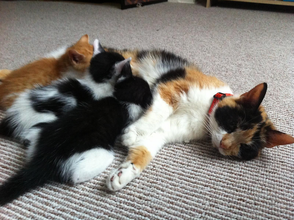 Image taken by the author 