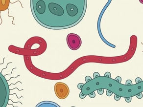 Gut Feeling: The Role of The Gut Microbiome in Anorexia Nervosa