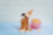 ‘Tis Season of Whimsy: But What Does This Really Mean to be Whimsical?