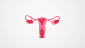 Illustration of a woman's ovary.