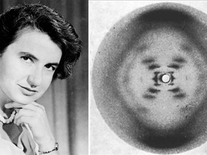 International Day of Women & Girls in Science: My Journey and the Women Who Inspired It