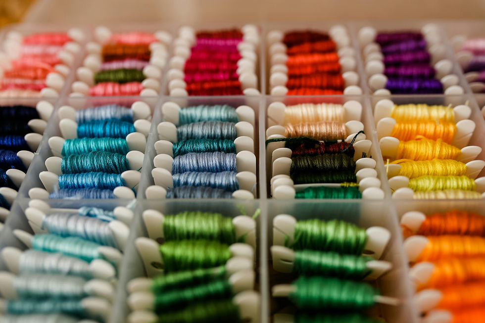 A container holding several floss bobbins with different coloured threads. In each section, the bobbins are organised by colour.