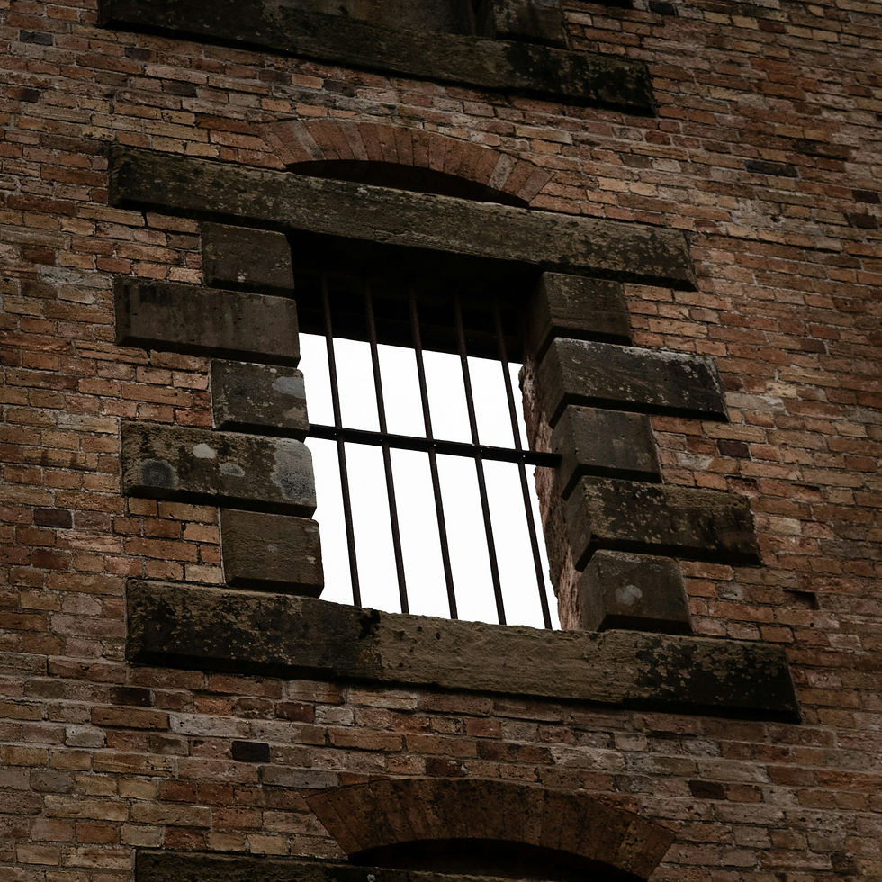 Photo by Mitchell Lawler on Unsplash