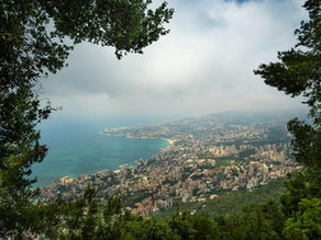 Aerial view of a coastal town. Aside from the town, the image shows vegetation and a turquoise ocean.