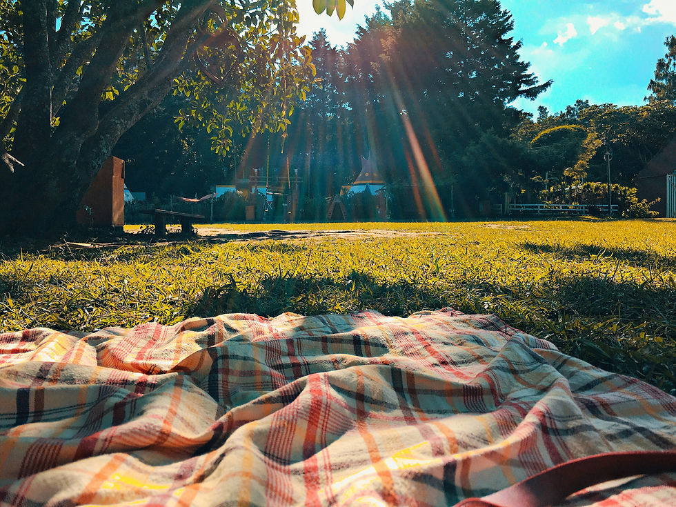 Image of a white and orange blanket on the grass, beside a tree and sun rays shining down.