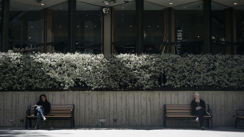 Two women are sitting on two wooden benches placed far apart from each other. Above the benches are bushes with white flowers and tall glass windows.