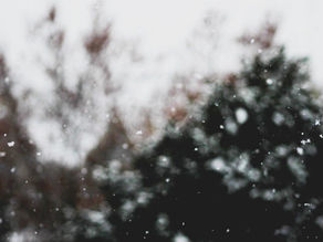 The Surprisingly Comforting Science Behind Grief