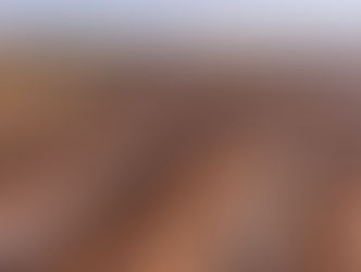 Operational excellence a daily priority - President's Report