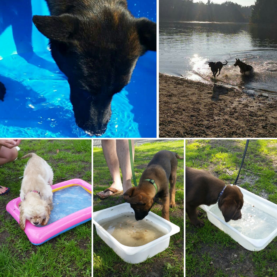 Gevaren van waterpret.