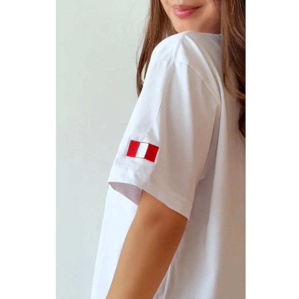 Miniatura: ARIRANG PERU - BTS TOUR