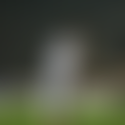 Ένας ΠΑΟΚ που δεν ξέρεις μέχρι που θα φτάσει! 