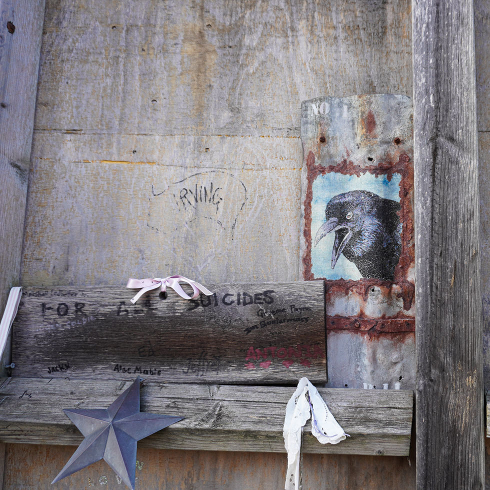Weathered wooden wall with crow illustration and star.